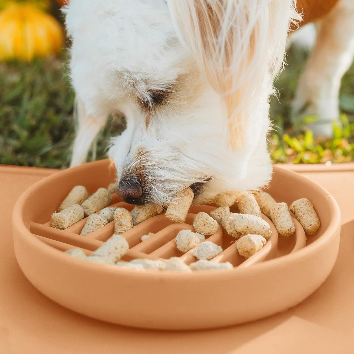 Should We Go? Slow Feeder for Dogs & Puppies, The Slowdown Bowl Silicone Slow Eating, Modern Lick Mat Design, Reduces Gulping, Fits 2 Cups, 7.5” Across x 1.5” Tall, Mealtime Challenge, Medium-Blush
