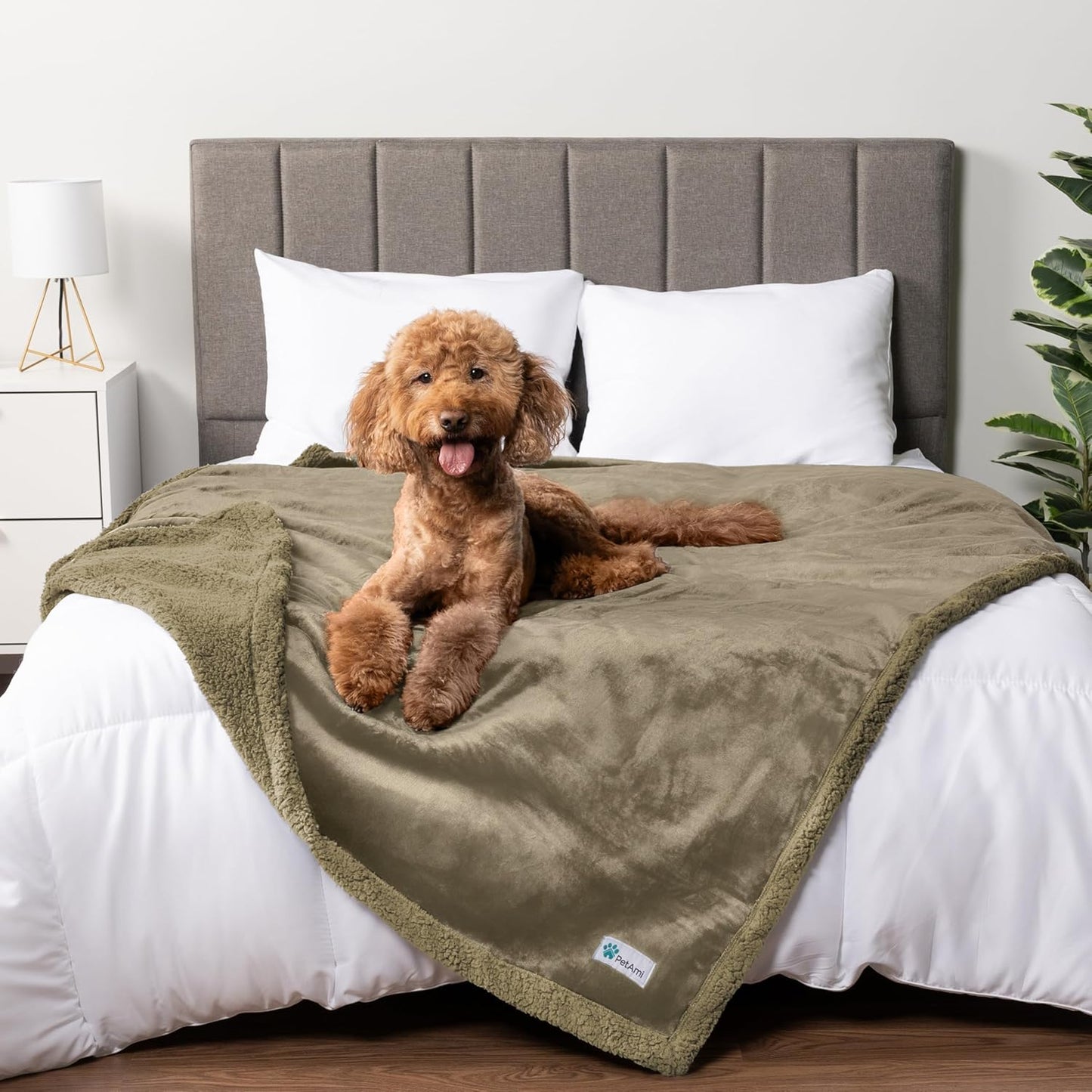 PetAmi Waterproof Dog Blanket for Couch, Large 60x40, Pee Proof Sherpa Fleece Reversible Pet Throw, Furniture Protector for Bed Sofa Kennel, Soft Washable Cover for Medium Dogs Cats, Grey Sherpa