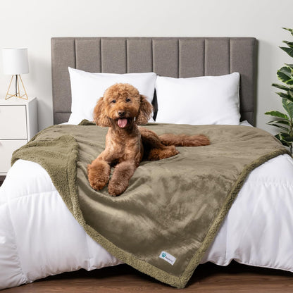 PetAmi Waterproof Dog Blanket for Couch, Large 60x40, Pee Proof Sherpa Fleece Reversible Pet Throw, Furniture Protector for Bed Sofa Kennel, Soft Washable Cover for Medium Dogs Cats, Grey Sherpa