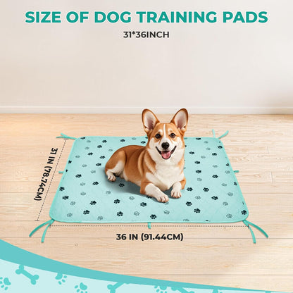Fostanfly Washable Pee Pads for Dogs, 2 Pack Large 36"x41" Ultra-Absorbent and Leak-Proof Non-Slip Reusable Potty Training Pads for Dogs, Cats, Puppy, Potty Training of Add 8 Lanyards