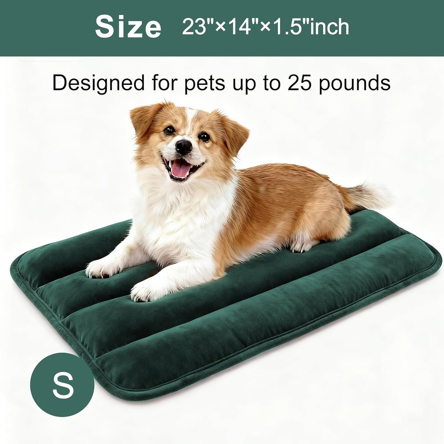 Dog Bed Mat, Reversible Crate Pad & Cute Dog Bed - Machine Washable Kennel Mat with Ultra Soft for Small Dogs (Cool/Warm), 24" x 18", Grey&Star