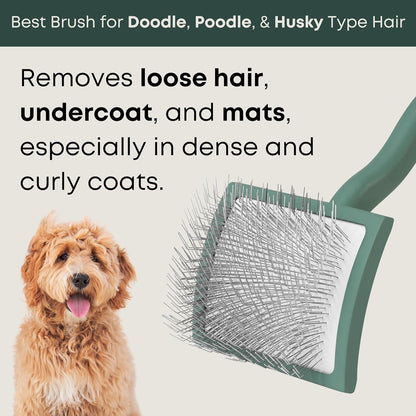 Freshly Bailey Doodle Brush for Goldendoodle, Poodle, and Labradoodle Coats - Best Slicker for Dogs With Wavy & Curly Hair - Detangle & Fluff Like a Pro - Grooming Must Haves (Large)