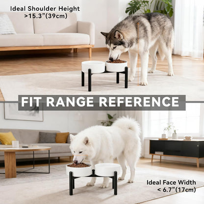 Raised Ceramic Dog Bowl Set - Elevated Double Dishes with Stainless Steel Stand - Food and Water Bowls for Small to Medium Dogs - Each Holds 3.5 Cups (29.57 fl oz) - White