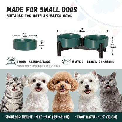Raised Ceramic Dog Bowl Set - Elevated Double Dishes with Stainless Steel Stand - Food and Water Bowls for Small to Medium Dogs - Each Holds 3.5 Cups (29.57 fl oz) - White