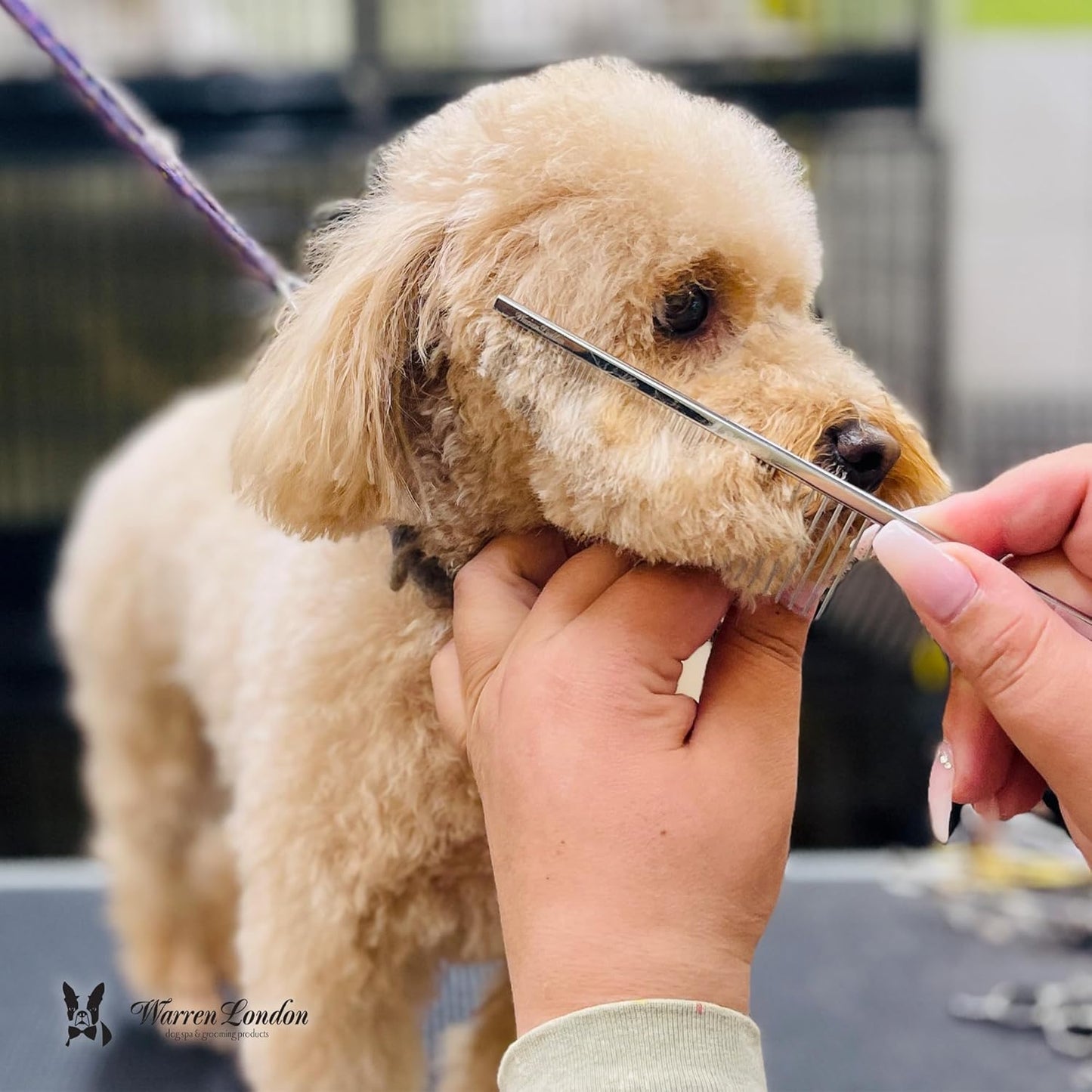 Warren London Detangling Strong Comb for Dogs | 10 inches | Comfort Control Durability and Detail for Small Medium Large Dogs | Ergonomic Dog Cat Grooming Pet Supplies Deshedding Mat Tool
