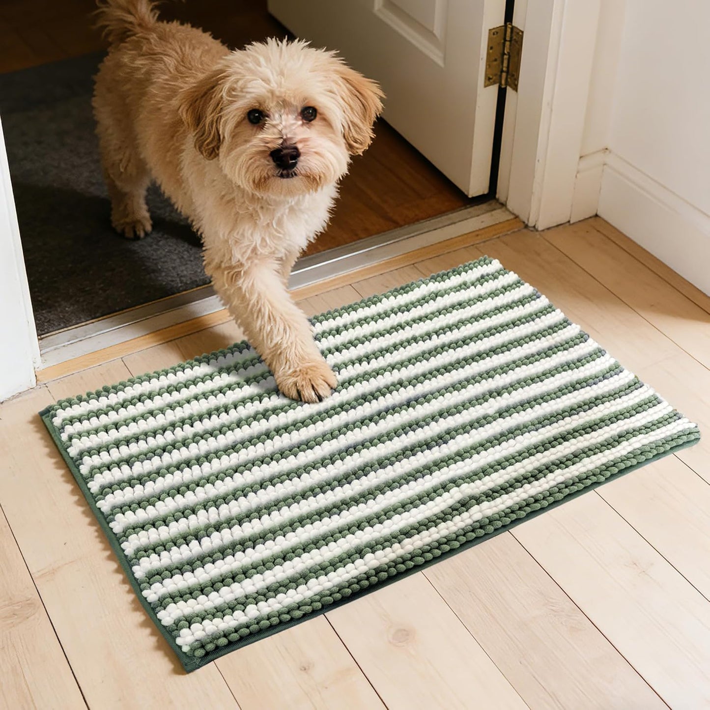 Dog Door Mat for Muddy Paws - Absorbent Quick-Dry Non-Slip Washable Chenille Pet Rug, Indoor Entryway Mat for Front Door & Crate (Brown, 24" L*16" W)