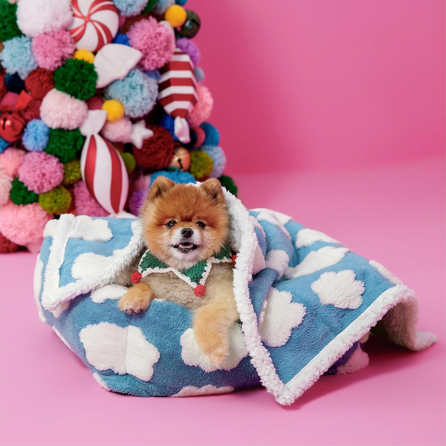 LE SURE Waterproof Dog Blanket for Large Dogs - Washable Double Sided Dog Blankets with Warm Jacquard Shag and Soft Sherpa Fleece, Pet Cat Blanket for Couch Protection, 3D Textured Cloud, Green