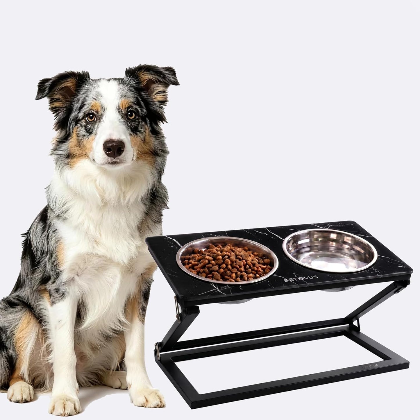 Elevated Dog Bowls, Adjustable Raised Dog Bowl Stand with 2 Stainless Steel Food Bowls 20°Tilted Water Bowls for Medium Small Sized Dogs (Black, Medium)