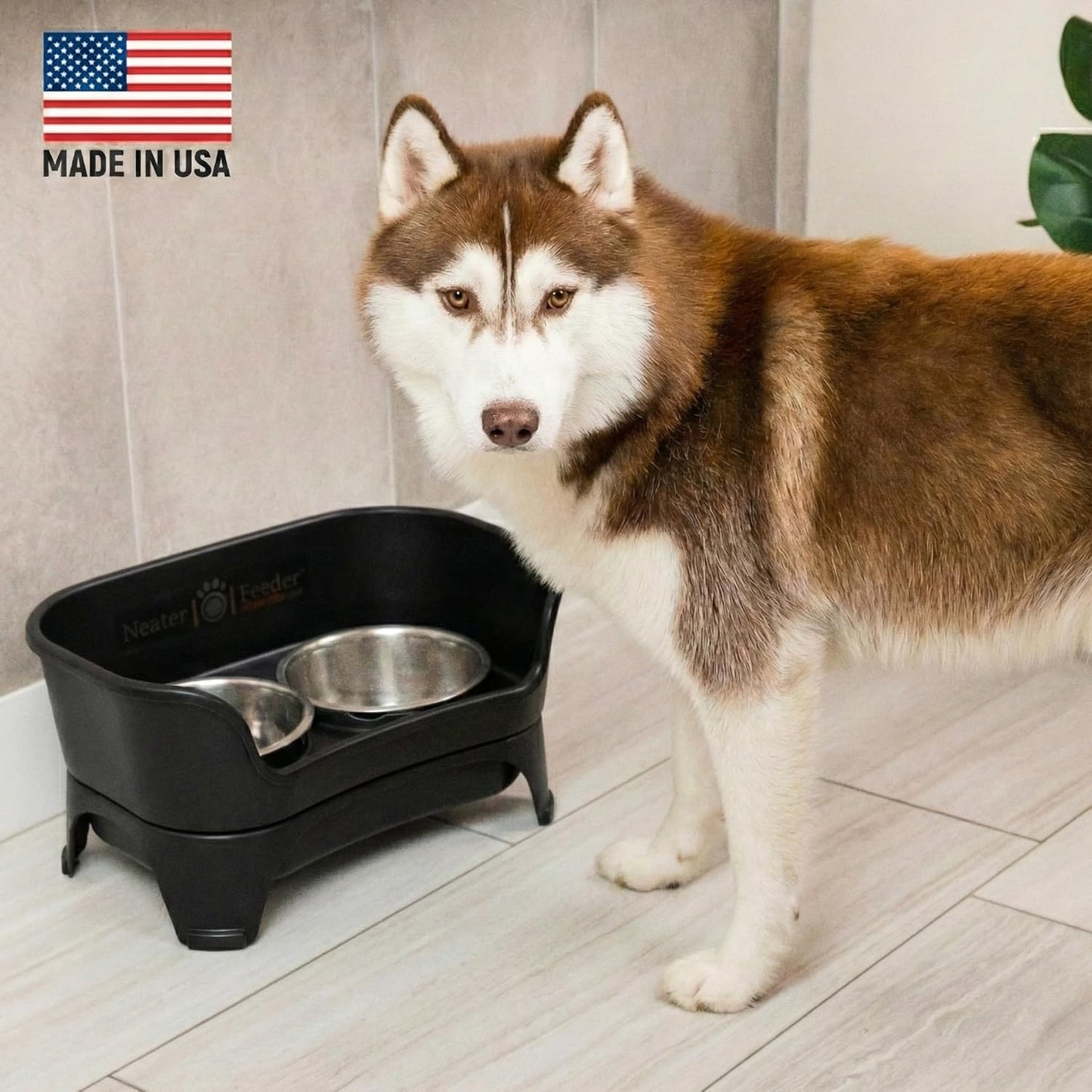 Neater Feeder Express Mess Proof Dog Bowls Elevated for Small Breeds under 15 Lb, Made in USA, No Spill Raised Dog Food Bowl Stand, Stainless Steel Food and Water Bowl Set, Feeding Station, Cappuccino