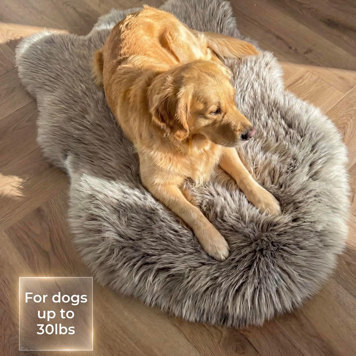 IHAPPYDOG Luxury Faux Fur Orthopedic Dog Bed, Memory Foam Dog Bed for Small, Medium, Large and XL Pets, Fluffy Pet Bed with Waterproof and Washable Cover (White w/Brown Tips, 50"x30")