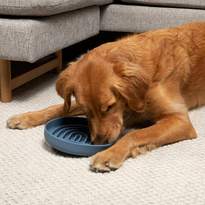 Should We Go? Slow Feeder for Dogs & Puppies, The Slowdown Bowl Silicone Slow Eating, Modern Lick Mat Design, Reduces Gulping, Fits 2 Cups, 7.5” Across x 1.5” Tall, Mealtime Challenge, Medium-Blush