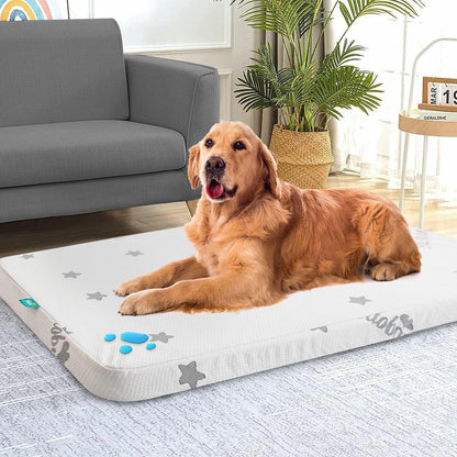 Waterproof Dog Bed for Large/Medium Dog, Memory Foam Orthopedic Dogs Beds & Furniture 38” x 26" x 1.5" for Large Sized Dogs with Anti-Slip & Washable Removable Cover, Soft Flannel Top Pet Beds, Grey