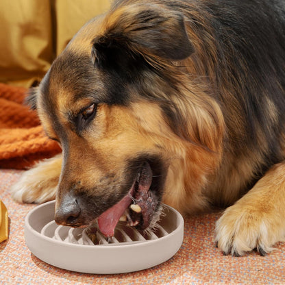Should We Go? Slow Feeder for Dogs & Puppies, The Slowdown Bowl Silicone Slow Eating, Modern Lick Mat Design, Reduces Gulping, Fits 2 Cups, 7.5” Across x 1.5” Tall, Mealtime Challenge, Medium-Blush