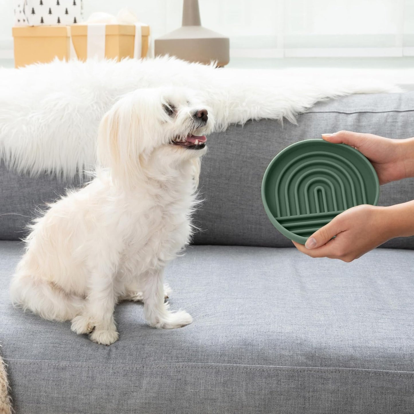 Should We Go? Slow Feeder for Dogs & Puppies, The Slowdown Bowl Silicone Slow Eating, Modern Lick Mat Design, Reduces Gulping, Fits 2 Cups, 7.5” Across x 1.5” Tall, Mealtime Challenge, Medium-Blush