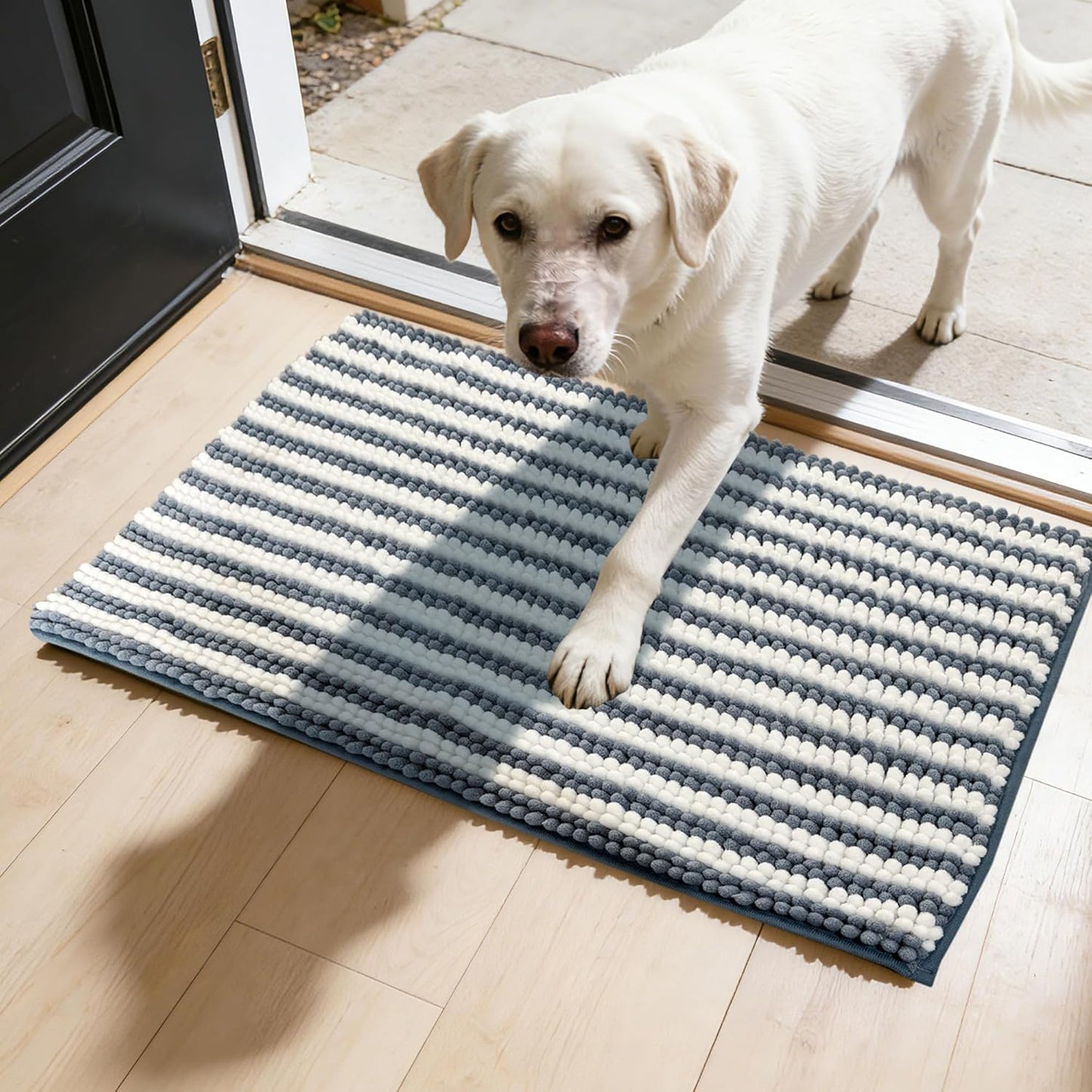 Dog Door Mat for Muddy Paws - Absorbent Quick-Dry Non-Slip Washable Chenille Pet Rug, Indoor Entryway Mat for Front Door & Crate (Brown, 24" L*16" W)