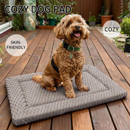 Dog Bed Mat, Reversible Crate Pad & Cute Dog Bed - Machine Washable Kennel Mat with Ultra Soft for Small Dogs (Cool/Warm), 24" x 18", Grey&Star