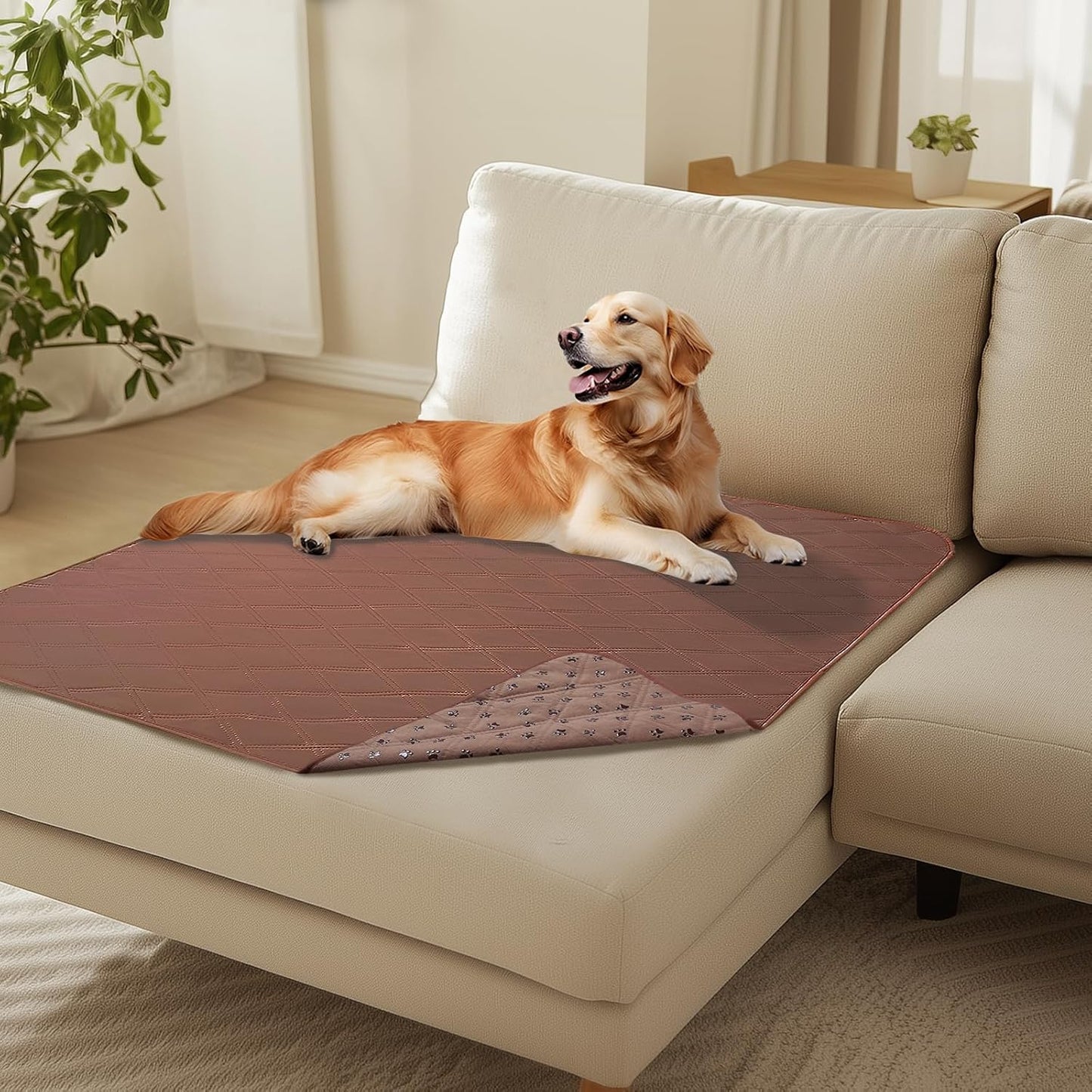 Luciphia 100% Waterproof Couch Cover Blanket for Dogs Anti-Slip Pet Couch Protector Sofa Mat Puppy Cat with Non-Slip Bottom, Grey, 30x70 Inch