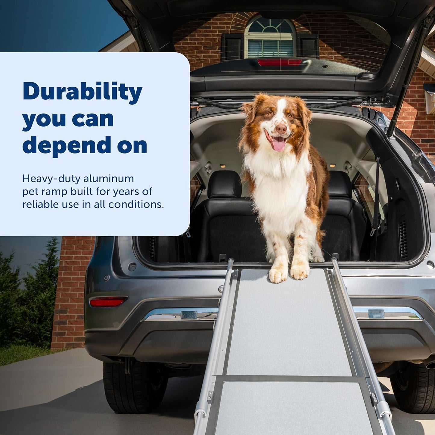 PetSafe Happy Ride Telescoping Dog Ramp, Portable Pet Ramp for Cars, Trucks & SUVs with Adjustable Sizing