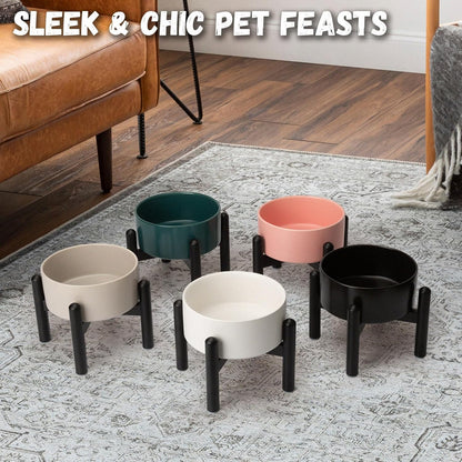 Raised Ceramic Dog Bowl Set - Elevated Double Dishes with Stainless Steel Stand - Food and Water Bowls for Small to Medium Dogs - Each Holds 3.5 Cups (29.57 fl oz) - White