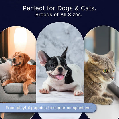 Professional Dog Nail Clippers for Large Dogs - to Small Dogs Clippers & Cats with Safety Guard & Ergonomic Easy Grip, Dog Nail Trimmer for Large Dogs Nail Clippers and Safe Cat Nail Clippers