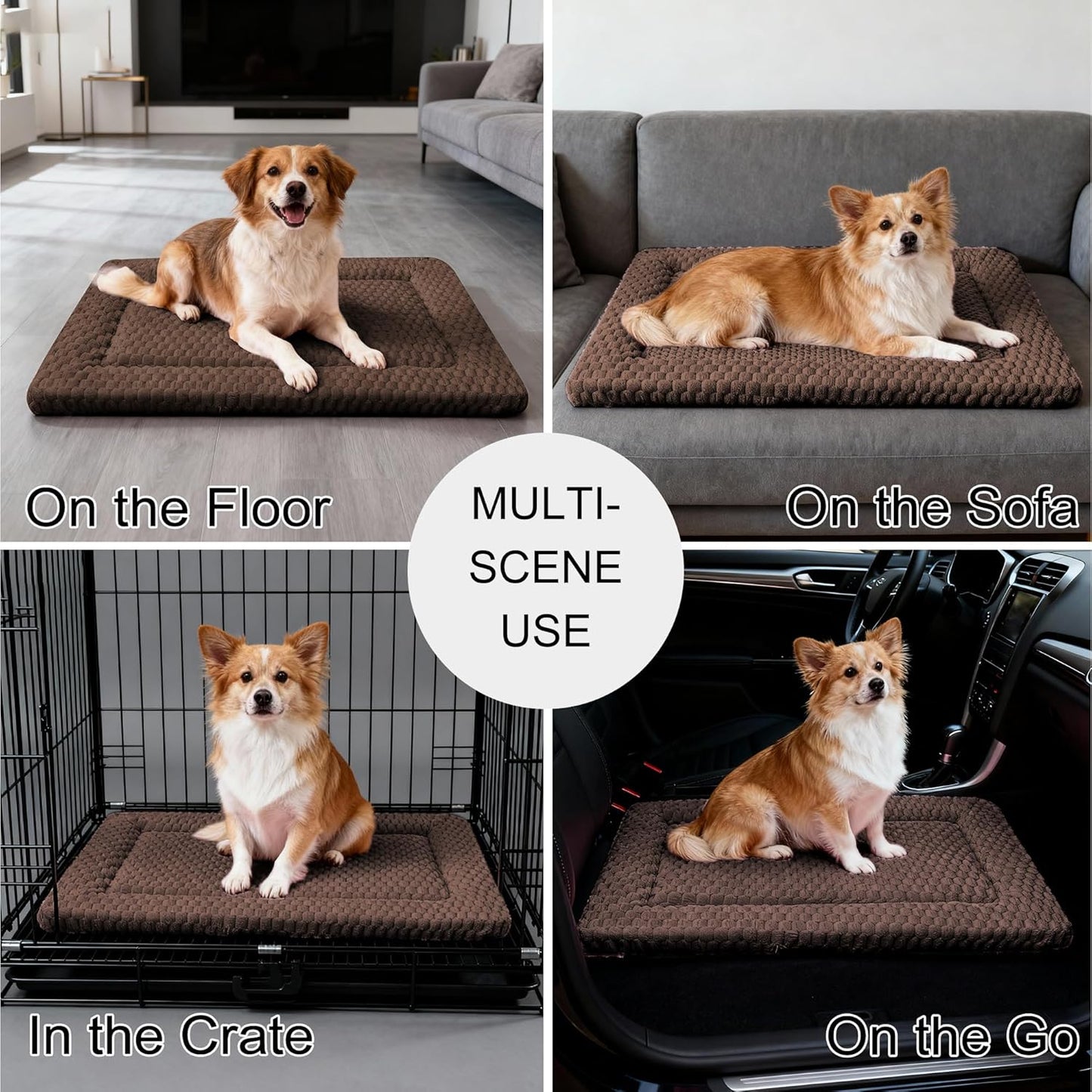 Dog Bed Mat, Reversible Crate Pad & Cute Dog Bed - Machine Washable Kennel Mat with Ultra Soft for Small Dogs (Cool/Warm), 24" x 18", Grey&Star