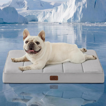 Bedsure Dog Beds Large Sized Dog - Comfy Flat Pet Beds with Removable Washable Cover, Orthopedic Egg Crate Foam Puppy Mat, Suitable for Pet Up to 65 lbs