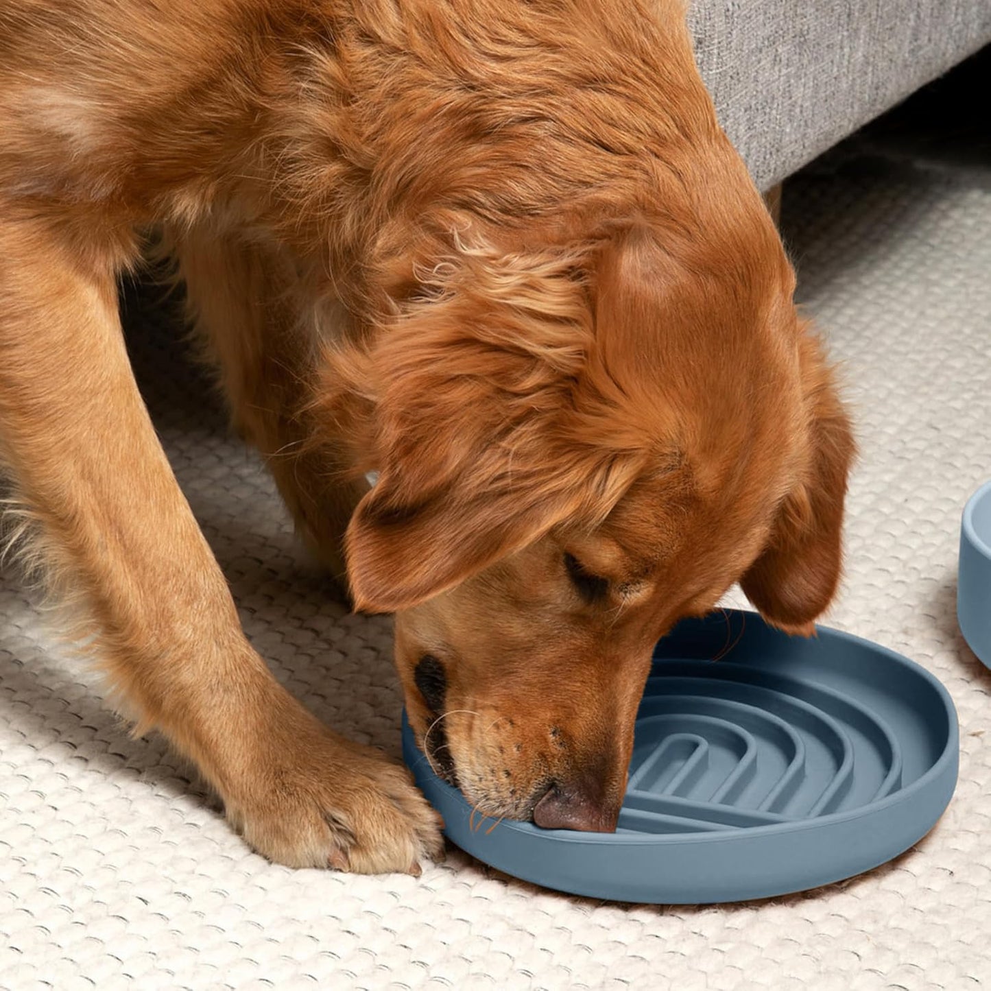 Should We Go? Slow Feeder for Dogs & Puppies, The Slowdown Bowl Silicone Slow Eating, Modern Lick Mat Design, Reduces Gulping, Fits 2 Cups, 7.5” Across x 1.5” Tall, Mealtime Challenge, Medium-Blush