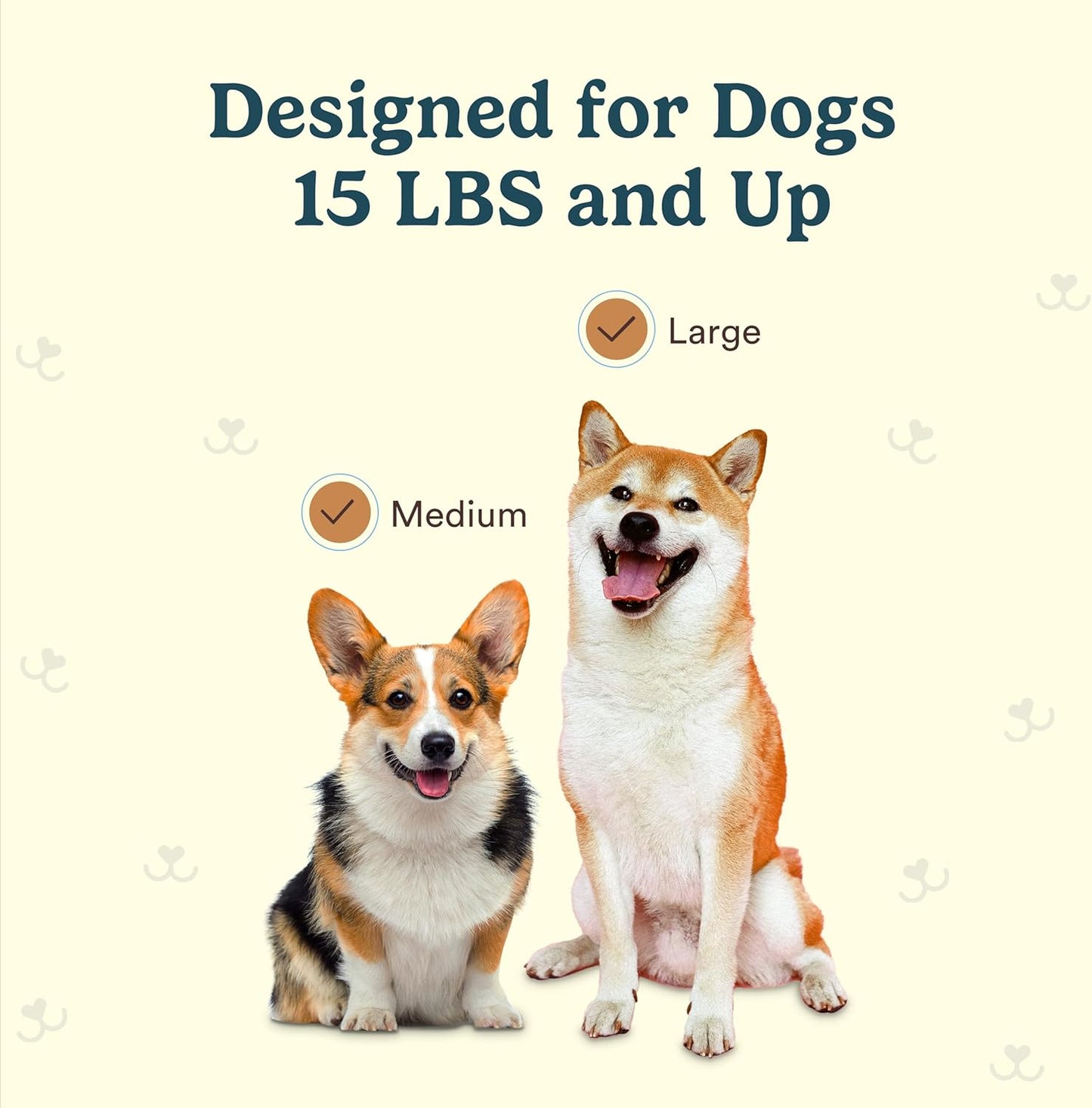 Jasper Macrobrush 360º, Dog Toothbrush for Medium to Large Dogs, Soft-Bristled Dog Tooth Brushing Kit - Premium Non-Slip Handle with 2 Replaceable Tooth Brush Heads, Use with Pet Toothpaste