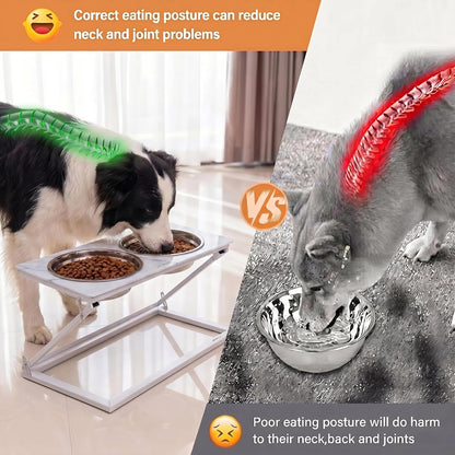 Elevated Dog Bowls, Adjustable Raised Dog Bowl Stand with 2 Stainless Steel Food Bowls 20°Tilted Water Bowls for Medium Small Sized Dogs (Black, Medium)