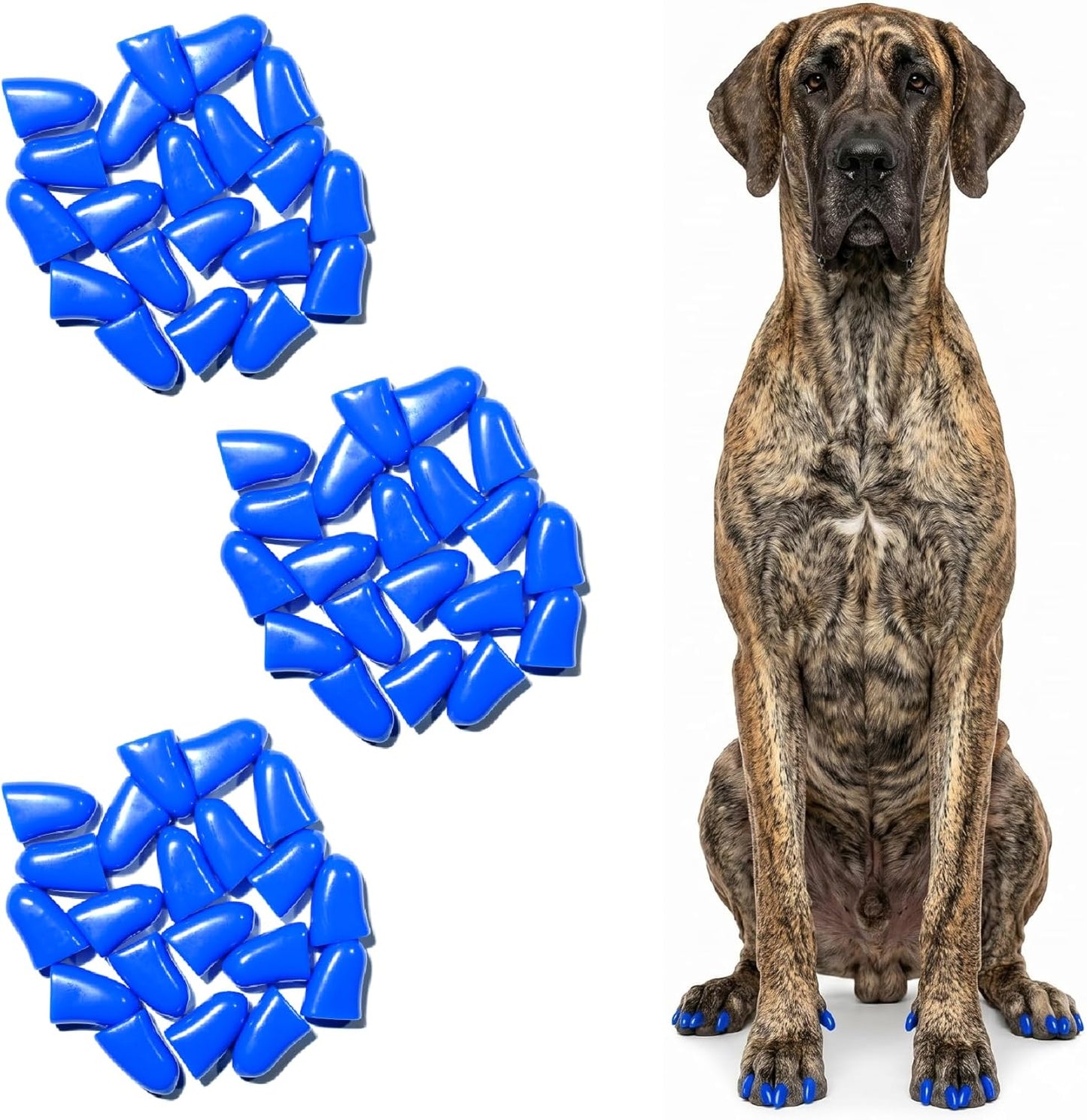 zetpo Dog Nail Caps & Claw Caps (60 pcs) - Anti Slip Dog Toe Grips & Covers for Hard Floors - Instant Traction & Mobility Support for Senior Dogs - Stops Scratches & Reduces Floor Noise (Blue, XXL)