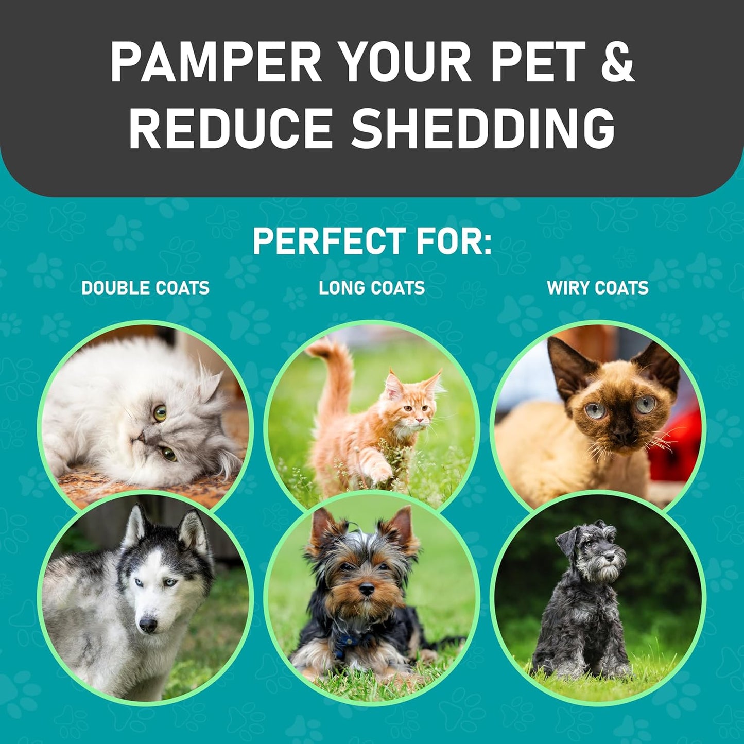 Maxpower Planet Hair Brush - Double Sided Shedding, Dematting Undercoat Rake for Dogs and Cats - Extra Wide Dog Grooming Brush, Reduce Shedding by 95%, Turquoise