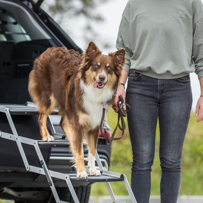 TRIXIE Foldable Aluminum Pet Steps for Dogs Up to 165 Pounds Adjustable from 19.5 to 27.5 Inches