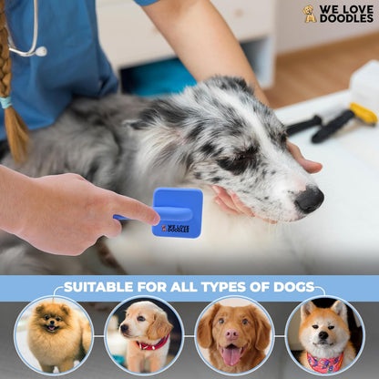 We Love Doodles Large Slicker Brush & Lavender Detangler Spray Pack - for Long-Haired Dogs, Dog Leave-In Conditioner for Reducing Mats, Knots & Tangles, Dematting & Conditioning Kit, 16 oz