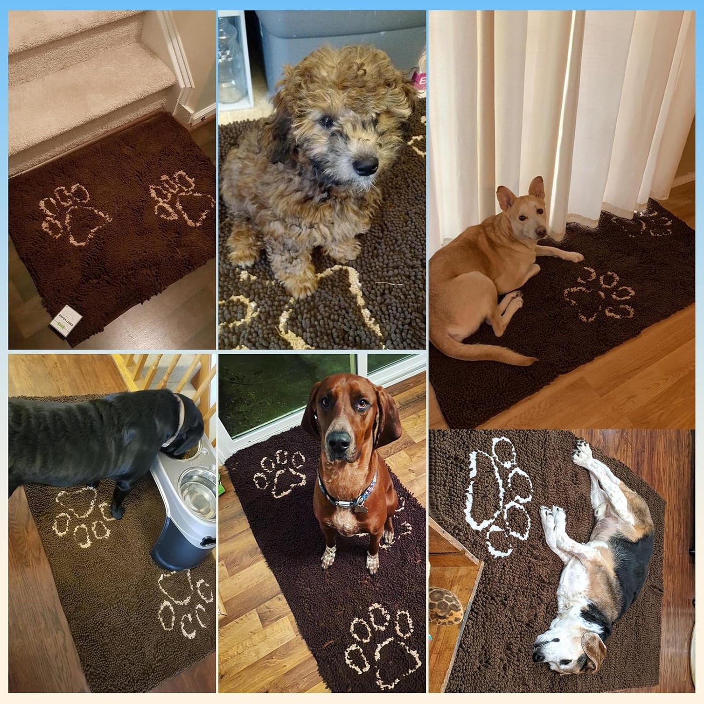 EXPAWLORER Dog Door Mat for Muddy Paws - Highly Absorbent Microfiber Pet Rug, Quick Dry Chenille Dog Runner Rug Indoor Outdoor, Non-Slip Entryway Carpet Washable Mud Mat for Dogs, Brown 60"x30"