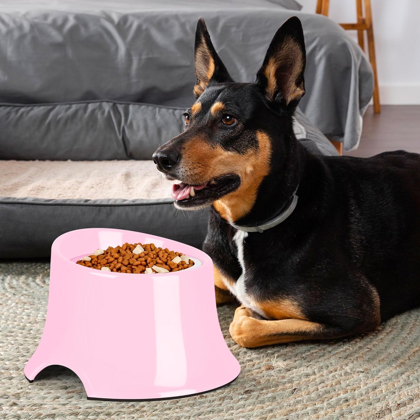 Tilted Elevated Dog Bowls Non-Slip & Non-Spill Pet Feeder with Elevated Detachable Melamine Stand, High Capacity Tilted Dog Bowl for Medium Small Size Dogs M/2 Cup Black