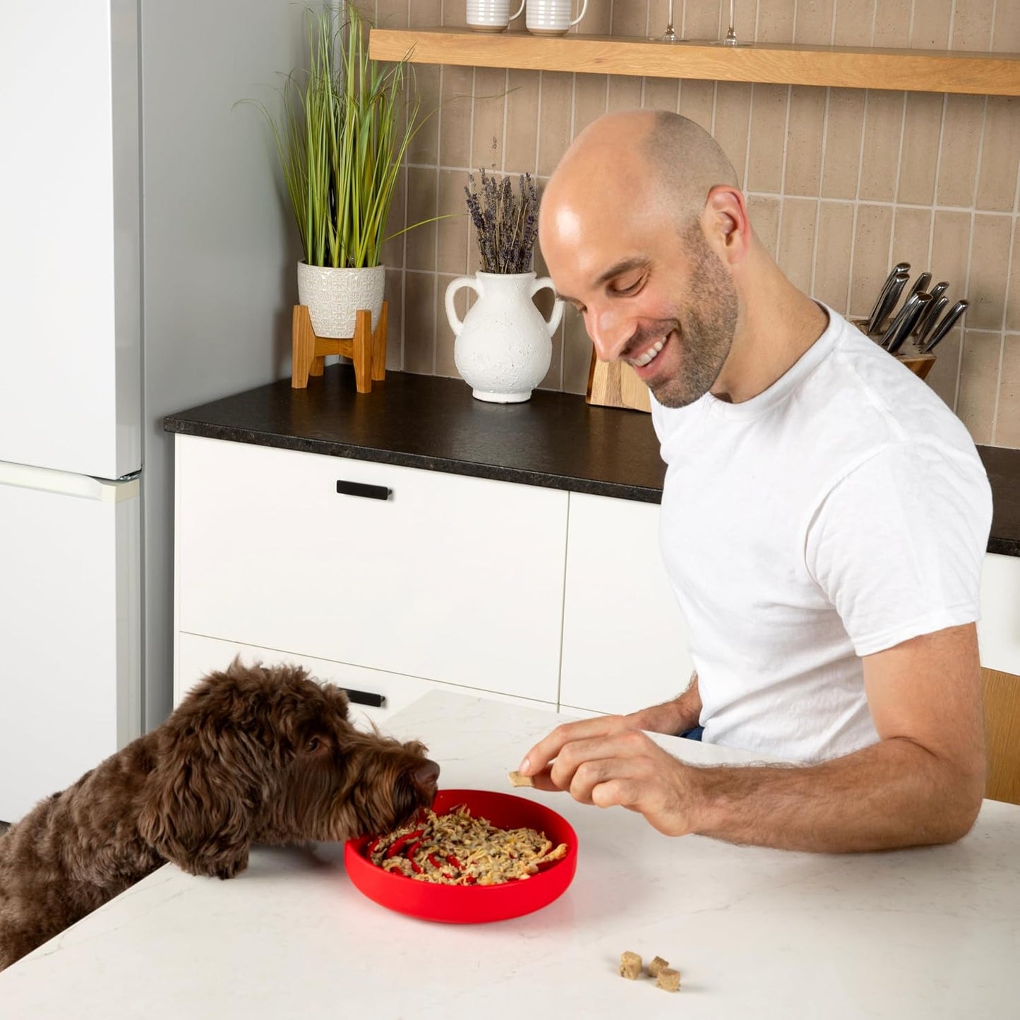 Should We Go? Slow Feeder for Dogs & Puppies, The Slowdown Bowl Silicone Slow Eating, Modern Lick Mat Design, Reduces Gulping, Fits 2 Cups, 7.5” Across x 1.5” Tall, Mealtime Challenge, Medium-Blush