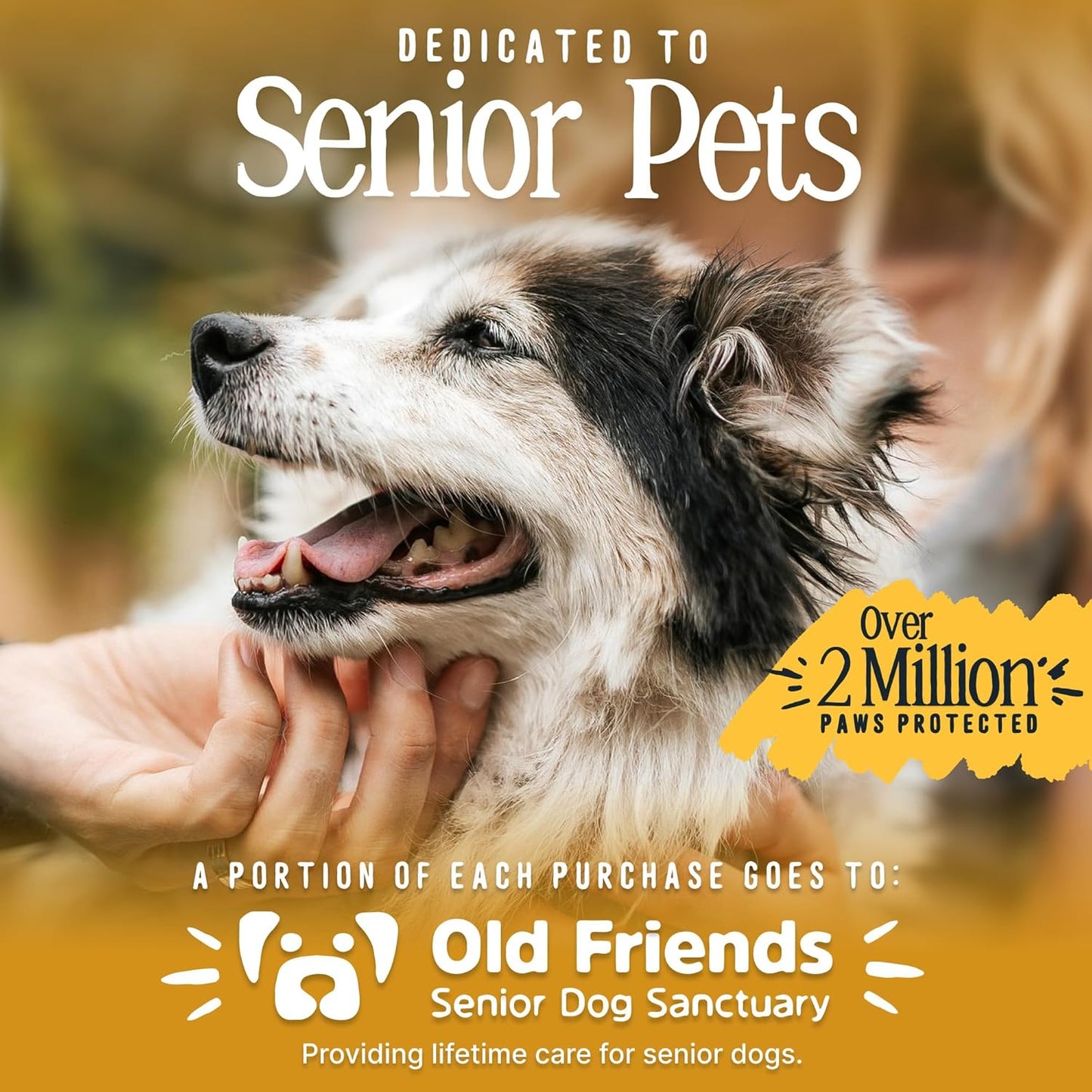 DOK TigerToes Premium Paw Grips for Senior Dogs, 40ct of Pre-Cut Anti Slip Dog Paw Pads for Hardwood Floors, Provides Traction for Slipping (40 Total Grips, Size Large)