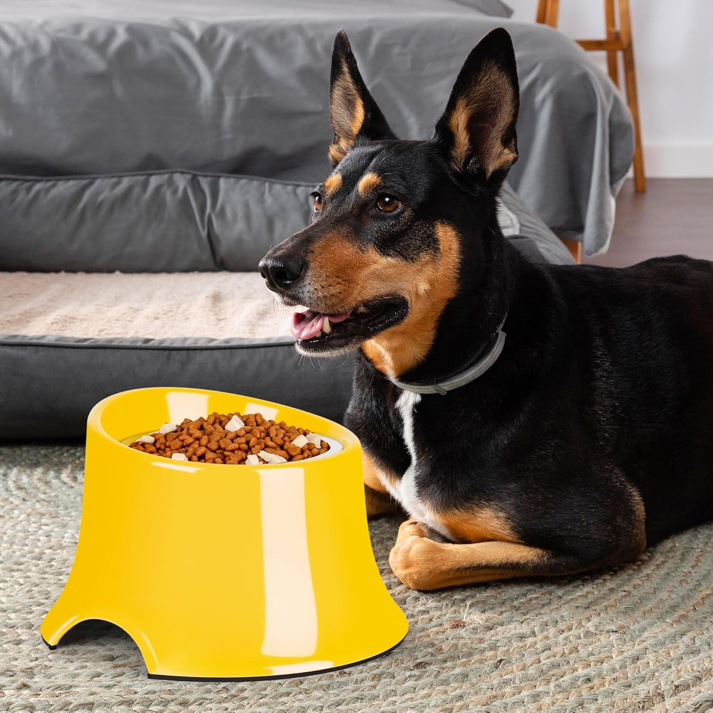 Tilted Elevated Dog Bowls Non-Slip & Non-Spill Pet Feeder with Elevated Detachable Melamine Stand, High Capacity Tilted Dog Bowl for Medium Small Size Dogs M/2 Cup Black