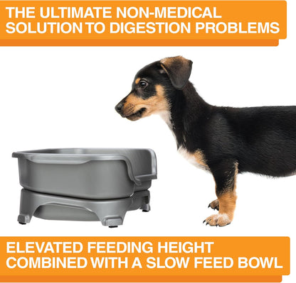 Neater Feeder Express Mess Proof Dog Bowls Elevated for Small Breeds under 15 Lb, Made in USA, No Spill Raised Dog Food Bowl Stand, Stainless Steel Food and Water Bowl Set, Feeding Station, Cappuccino