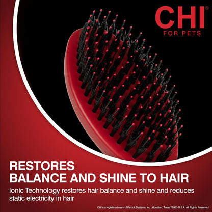 CHI for Dogs 2 in 1 Dematting and Deshedding Rake, Dual Head Dog Grooming Tool with Wide Tooth Dematting Rake and Fine Deshedding Rake, Detangler Comb for Thick Double and Long Dog Coat