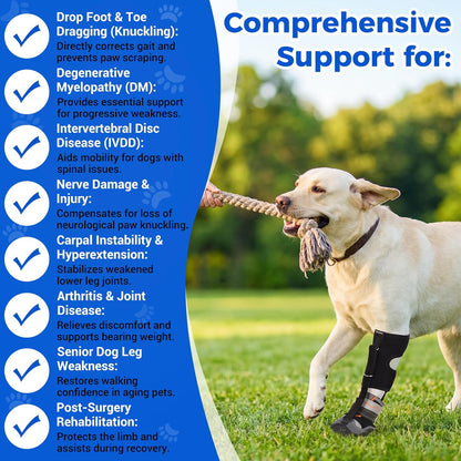 Drop Foot Brace & No Knuckling Boot Brace for Dogs, Adjustable Toe Grips for Senior Dogs Stop Dragging, Dog Recovery Boot for Injured Paw, Dog Splint for IVDD, Arthritis, Senior Mobility(M)