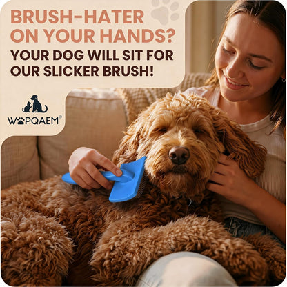 Slicker Brush for Doodles and Poodles - 2-Piece Solid Wood Dog Grooming Set with Extra Long Pin Dematting Tool and Metal Comb for Curly, Matted & Thick Hair, Purple