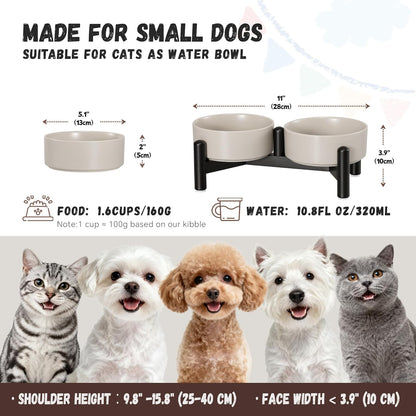 Raised Ceramic Dog Bowl Set - Elevated Double Dishes with Stainless Steel Stand - Food and Water Bowls for Small to Medium Dogs - Each Holds 3.5 Cups (29.57 fl oz) - White
