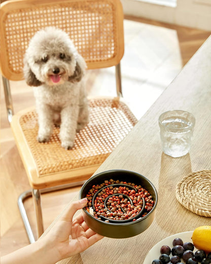 Ceramic Slow Feeder Dog Bowls, 2.0 Cups Slow Feeder for Medium Dogs, Puzzle Maze Bowl to Slow Down Eating, 30oz, 8in, White