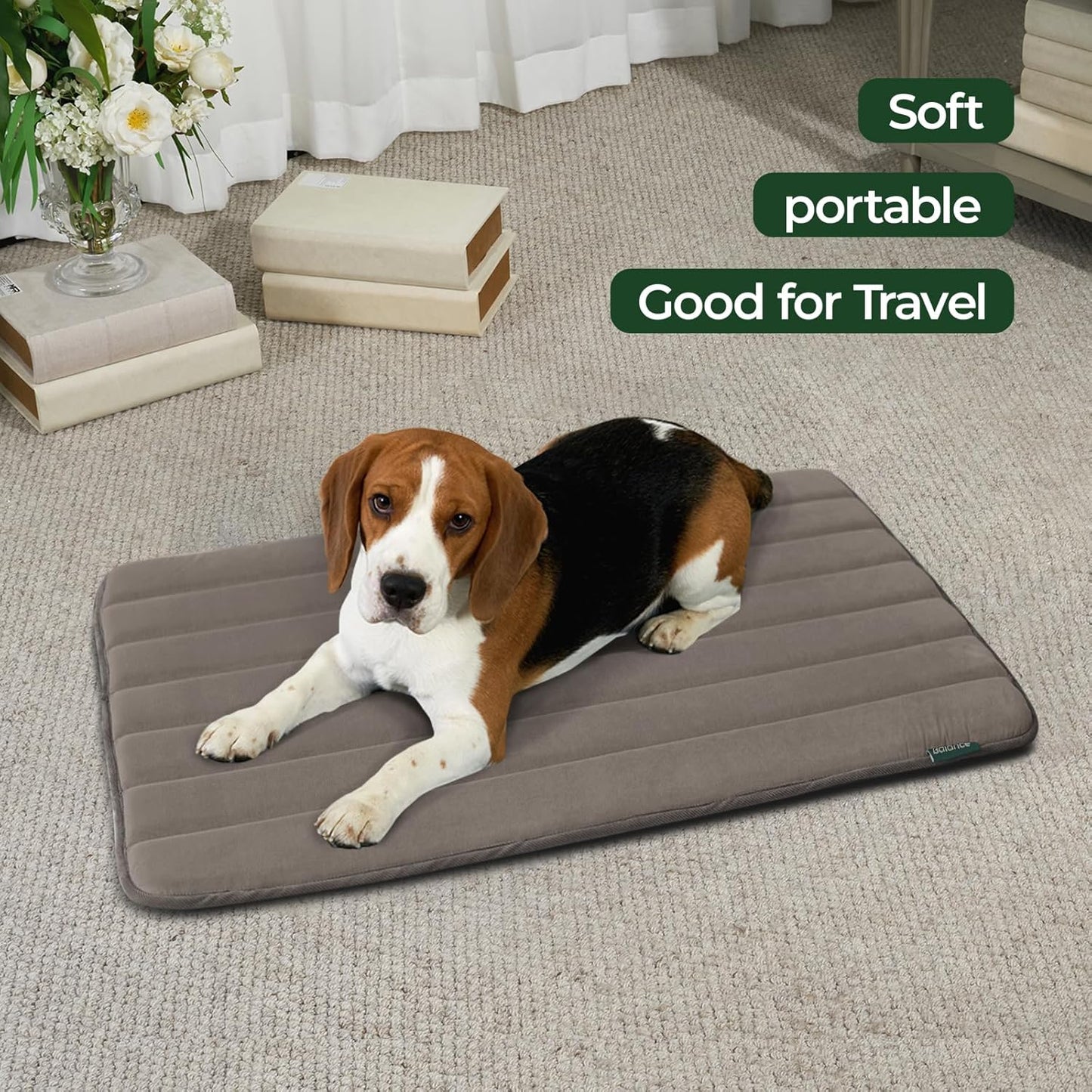 BALANCE Dog Crate Pad, Dog Foam Crate Mat Kennel Pad, Washable Water-Resistant Pet Bed Flat Dogs Cage Mat for Small Dogs