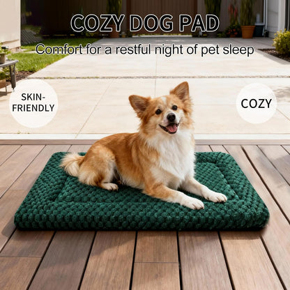 Dog Bed Mat, Reversible Crate Pad & Cute Dog Bed - Machine Washable Kennel Mat with Ultra Soft for Small Dogs (Cool/Warm), 24" x 18", Grey&Star