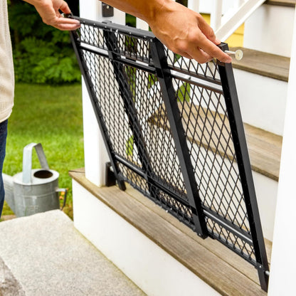 Ingenuity Doorway 42W Series Dog and Baby Gate, Indoor Outdoor, Won't Rust or Fade, Plastic Panel, Fits 23-42" Openings, 24” Tall