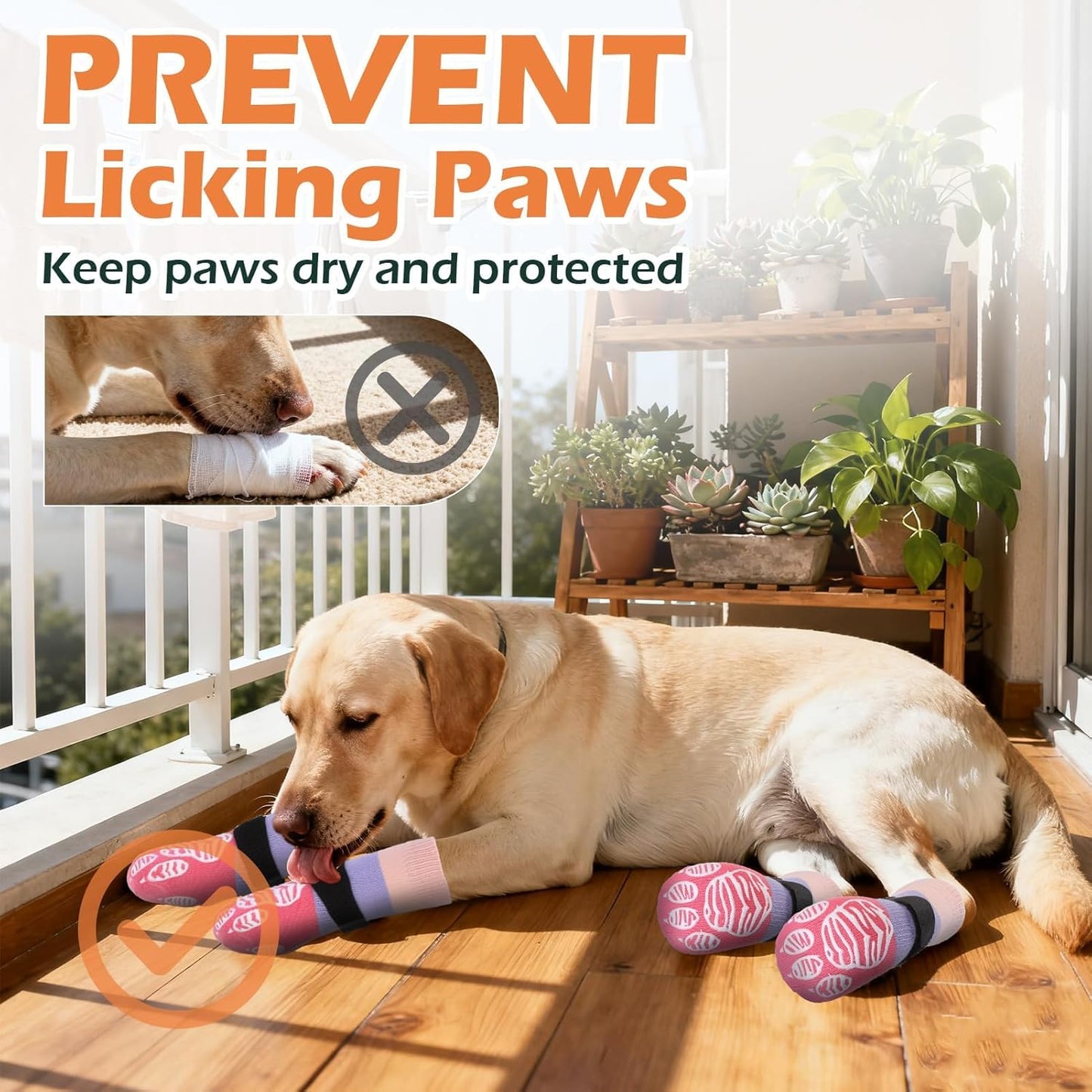 EXPAWLORER Anti Slip Dog Socks to Prevent Licking Paws, Dog Shoes for Hot Pavement Walk, Dog Booties for Hardwood Floors, Dog Boots & Paw Protectors with Grippers for Small Medium Large Senior Dogs M
