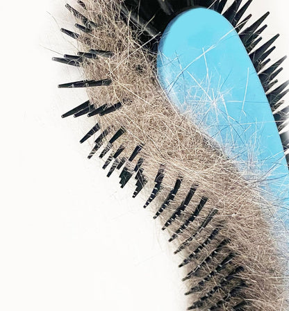 Cat Brush, Blue. Designed for Comfort, Created for Cats and Dogs. Ergonomic shape promotes stress free grooming. Great for long to short haired cats. Made in the USA.