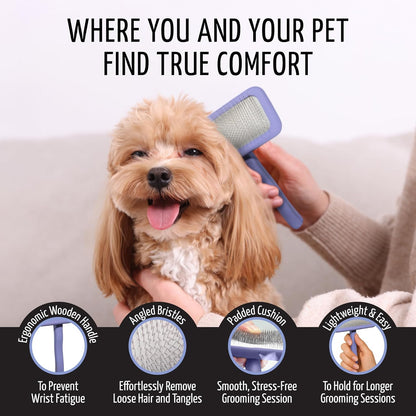 Tauro Pro Line Slicker Brush for Dogs & Cats, Deshedding, Dematting & Detangling Grooming Tool for Medium to Long Coats, Ideal for Doodles & Poodles, Flexible Cushion, Purple, Medium Size (M)